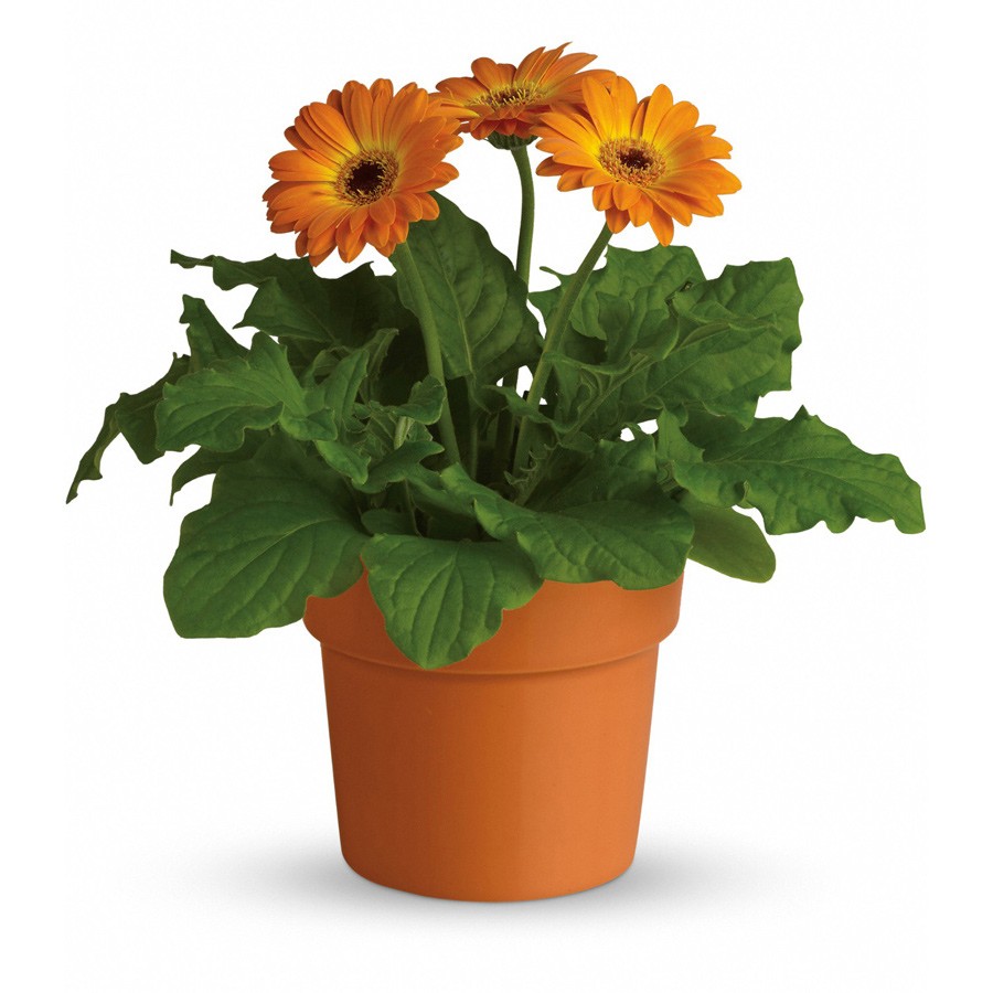 26e038_c7db5c9538ce4ce6bb6c858b6a6fafd0