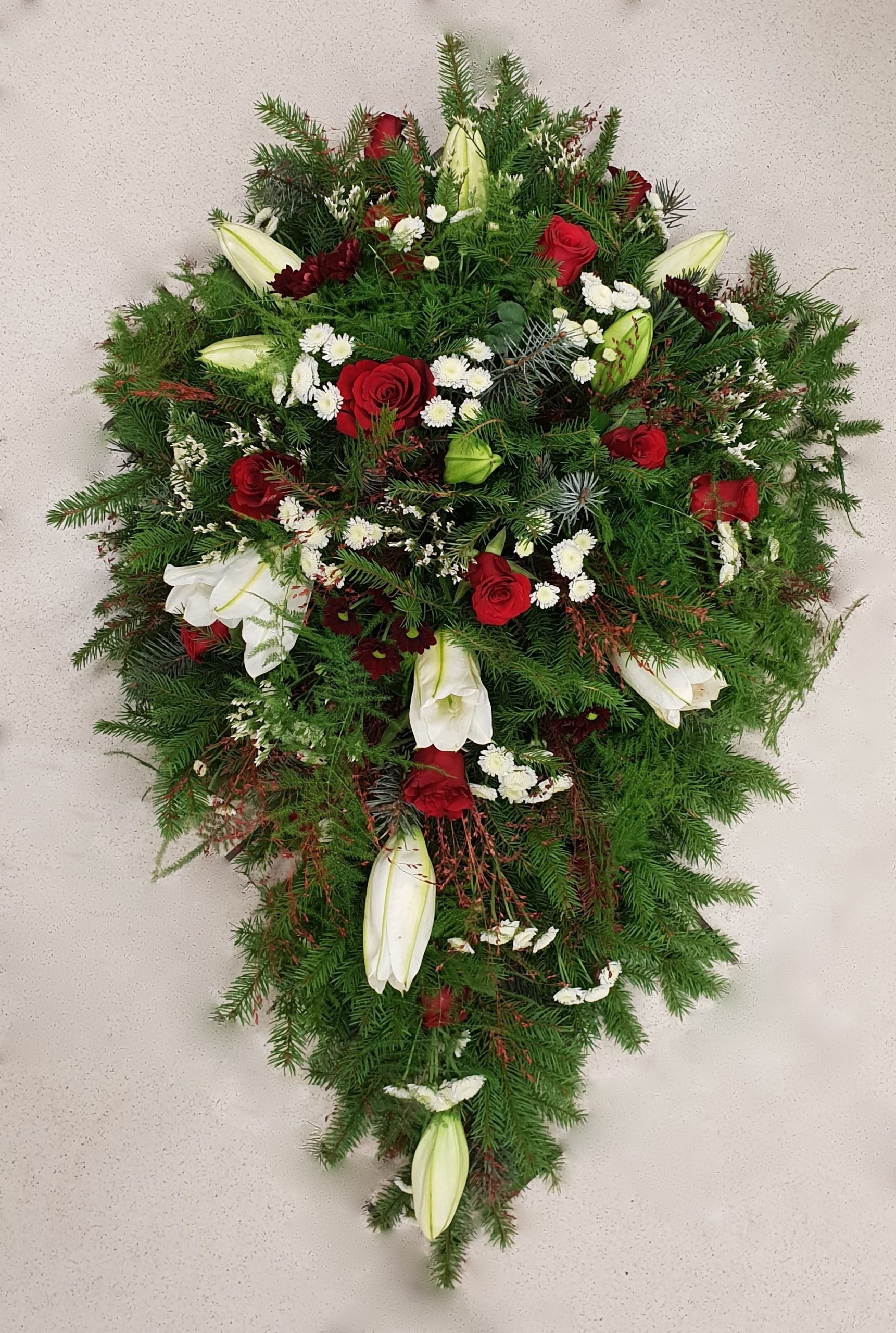 leinakimp pun, valge hele taust6 modified