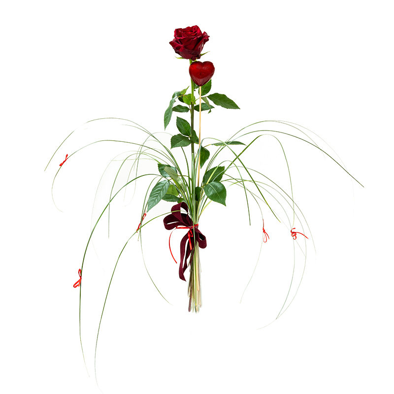 saarefoto_2113_näide