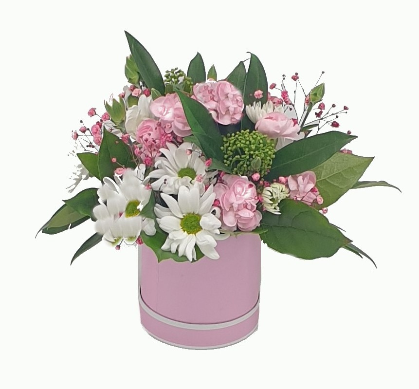 mustika roosa karp 2 modified2